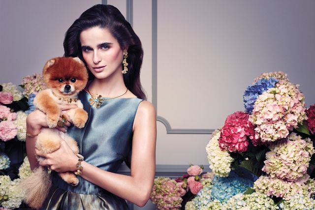 Tito the Pom & Loulou Robert for Tous Spring Summer 2013-2