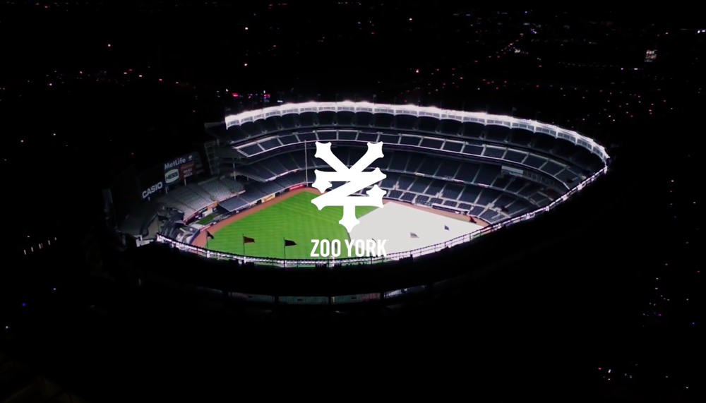 Zoo York in Yankee Stadium