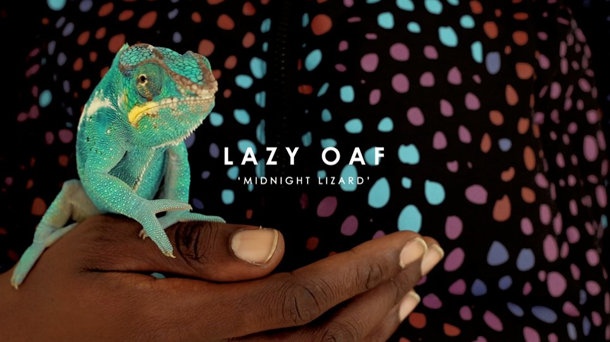 Lazy Oaf 2014 Winter Midnight Lizard Video