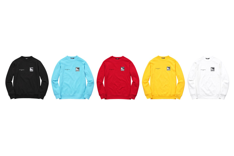 supreme-the-north-face-ss16-collection-delivery-2-5